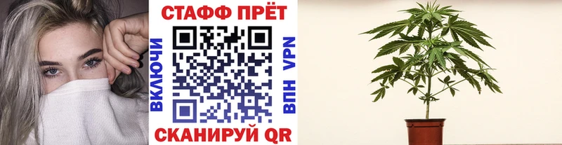 Наркошоп купить Амфетамин  Псилоцибиновые грибы  ГАШ  Меф мяу мяу  Княгинино