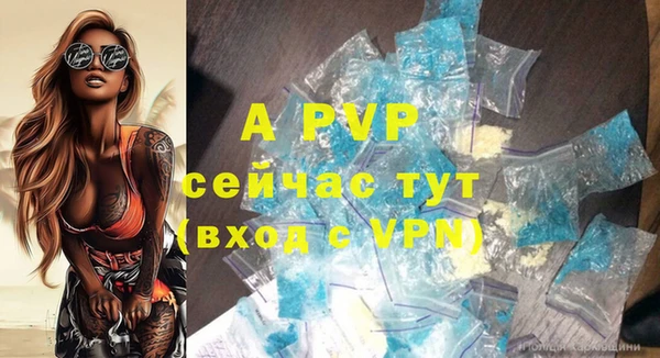 альфа пвп Гусев