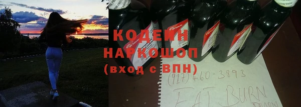 альфа пвп Гусев
