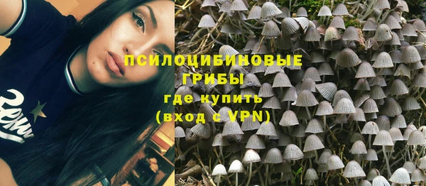 альфа пвп Гусев